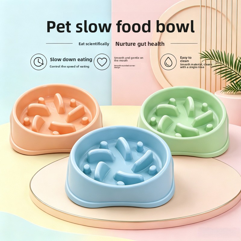 Royal Canin Food Medium - 1/3개 논슬립 슬로우 피더 강아지 식기