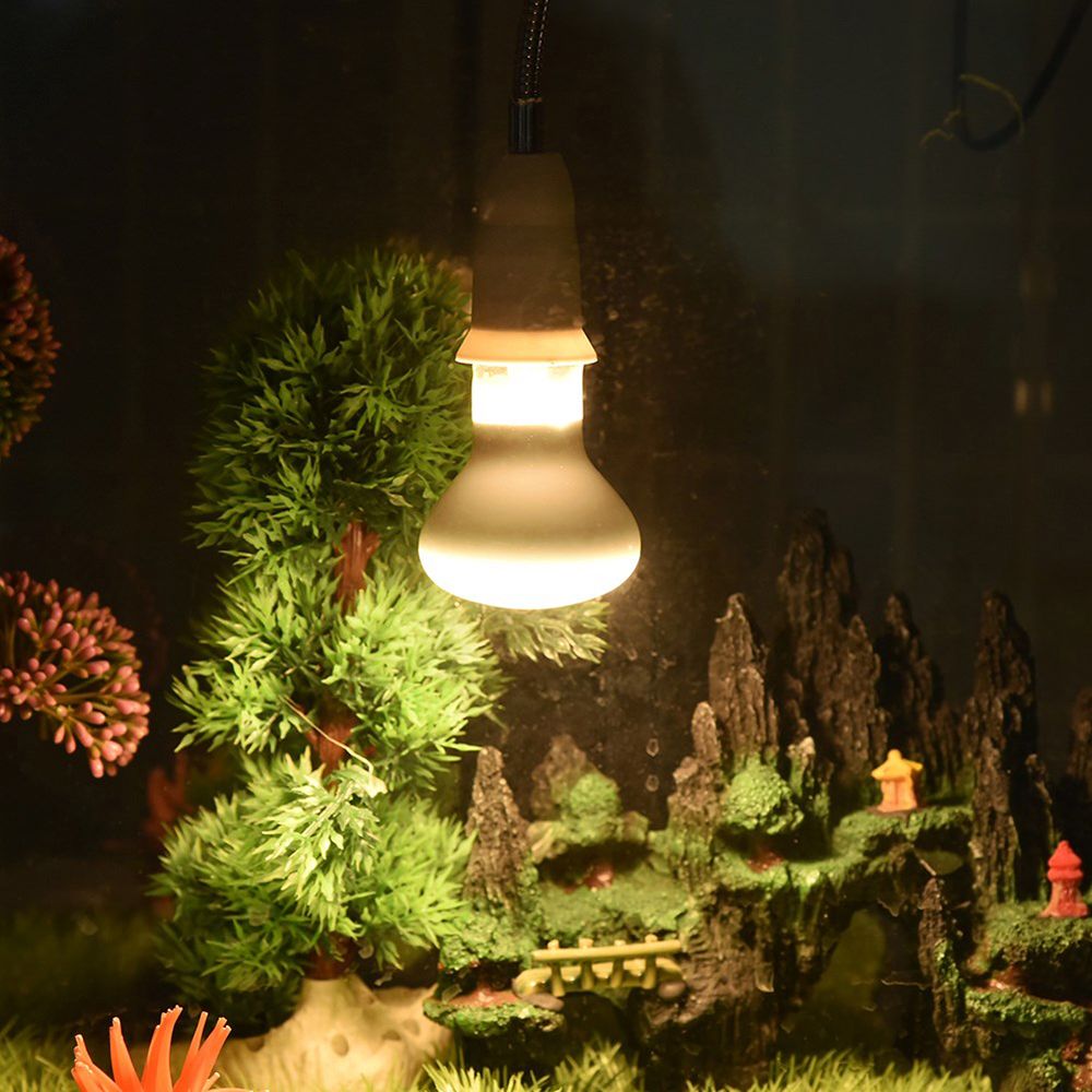 Basking Bulb Halogen - 양서류 히터 열등 UVA 라이트 일광등