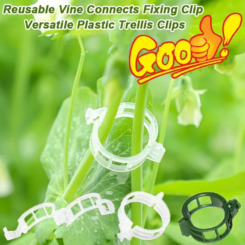 Vine Climbing Plastic - 재사용 가능한 포도 나무는 고정 클립을