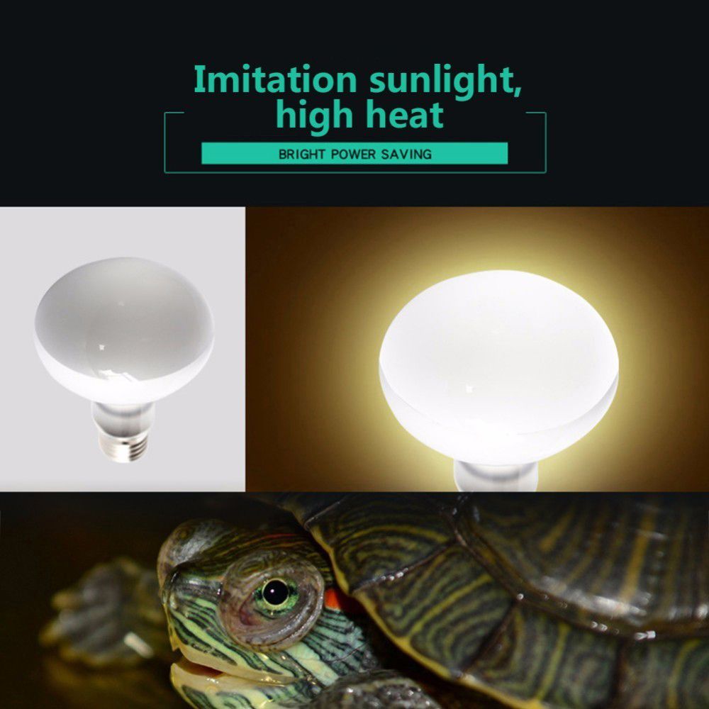 Basking Bulb Halogen - 거북이 히터 온도 조절기 파충류 UVA