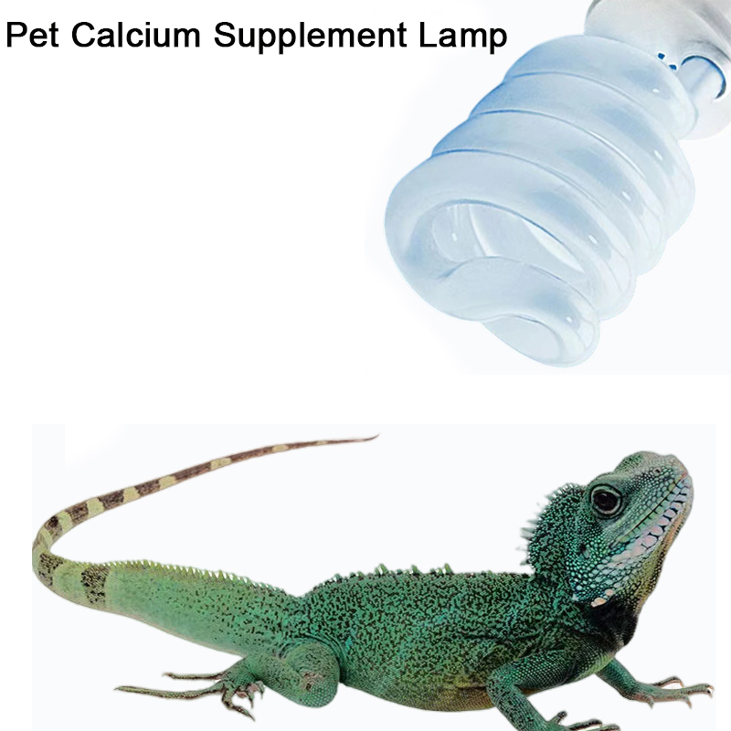 Calcium Powder Reptile - E27 13W/26W 파충류 Uvb 램프 칼슘