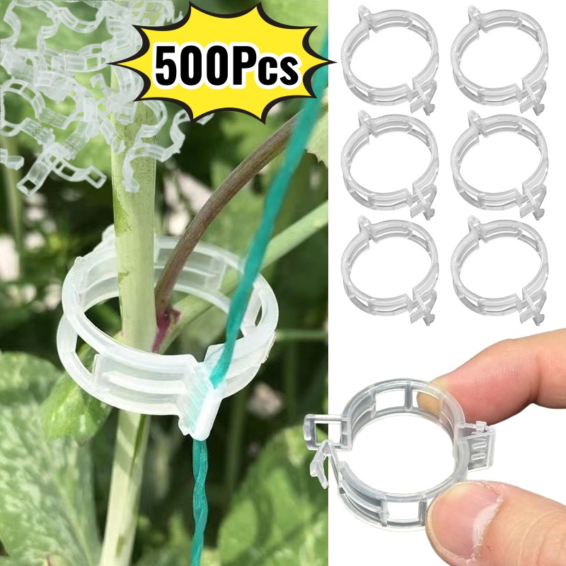Vine Climbing Plastic - 500개 플라스틱 식물 지지 클립 정원