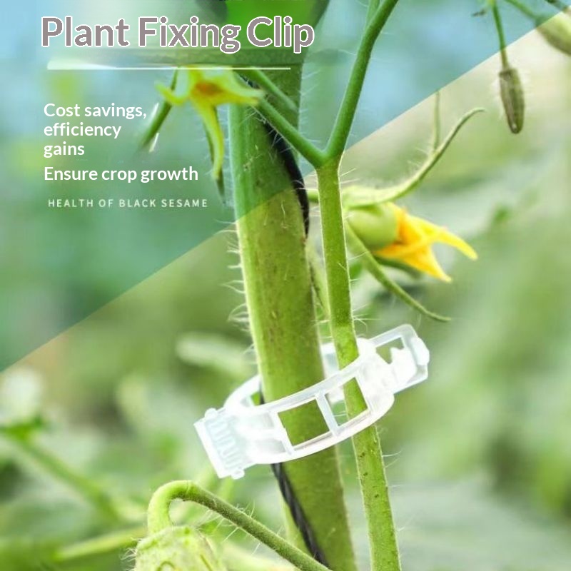 Vine Climbing Plastic - 플라스틱 식물 지지 클립 재사용 가능한