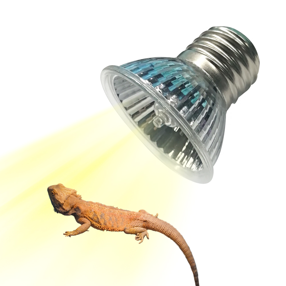 Calcium Powder Reptile - 25W/75W/100W 풀 스펙트럼 UVAUVB 열등 파충류