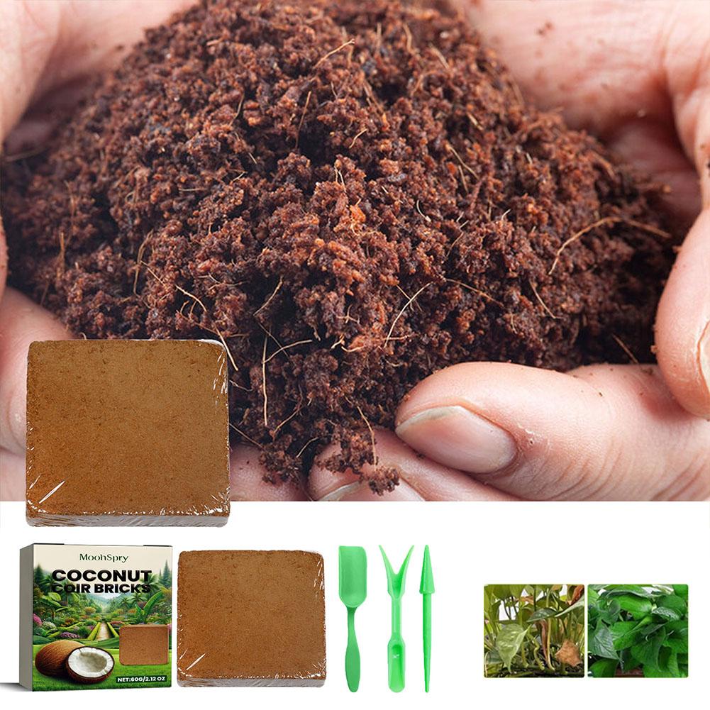 코코넛 코이어 섬유 벽돌 - 유기농 화분 흙 매체, 정 - Substrate Coconut Fiber 리뷰 및 가격