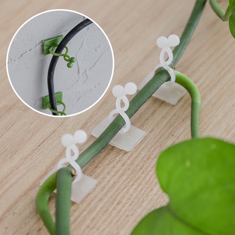 10Pcs 식물 벽 고정 후크 범용 덩굴 등반 홀더 가 - Vine Climbing Plastic 리뷰 및 가격