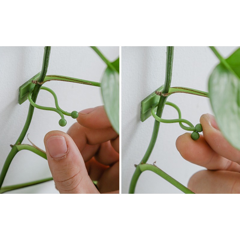 10Pcs 식물 벽 고정 후크 범용 덩굴 등반 홀더 가 - Vine Climbing Plastic 리뷰 및 가격