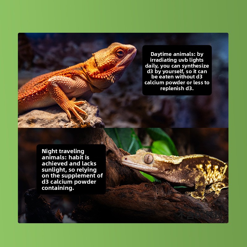 Reptizoo 파충류 칼슘 파우더&D3-거북이, 수염 - Calcium Powder Reptile 리뷰 및 가격