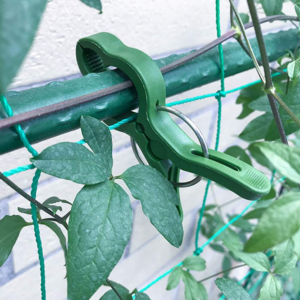 60개 정원 식물 클립 플라스틱 식물 지지대 클립 (토 - Vine Climbing Plastic 리뷰 및 가격