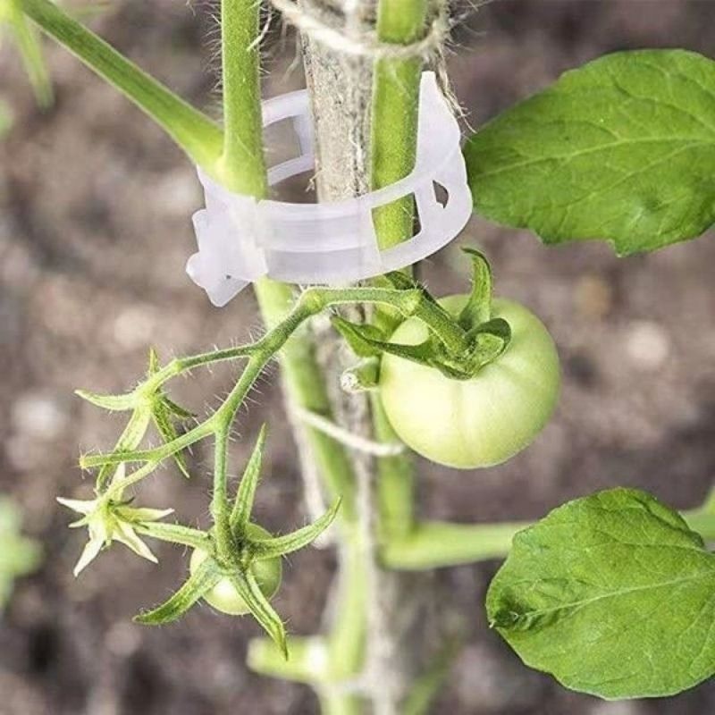 플라스틱 식물 지지 클립 재사용 가능한 덩굴 고정 클램 - Vine Climbing Plastic 리뷰 및 가격