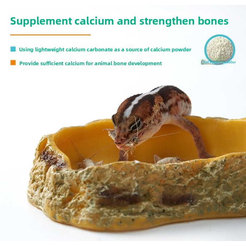레프티주&산코 BAC 프로바이오틱스 & 칼슘 파우더 ( - Calcium Powder Reptile 리뷰 및 가격